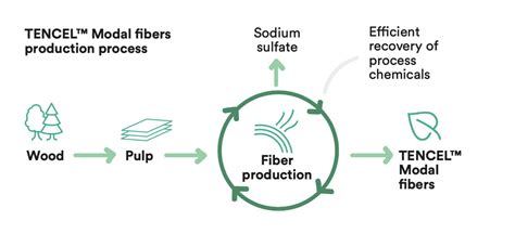 The Ultimate Guide to TENCEL™ Fibre & Lyocell Fabric -What is TENCEL ...