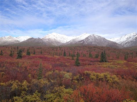 Alaska Autumn Tour | Glacier Cruise, Denali, Fairbanks, Chena Hot Springs