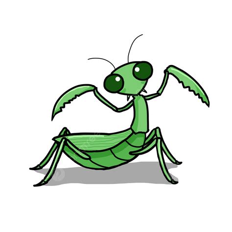 Praying Mantis Outline PNG, Vector, PSD, and Clipart With Transparent ...