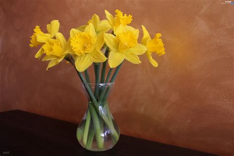 Daffodils, bouquet - Nice wallpapers: 2816x1880