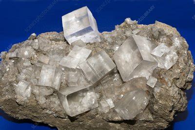 Rock salt crystals - Stock Image - C020/0059 - Science Photo Library