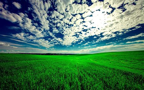 PicZene - Sky And Grass Background Hd