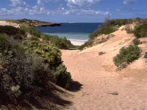 Ceduna, SA - Aussie Towns