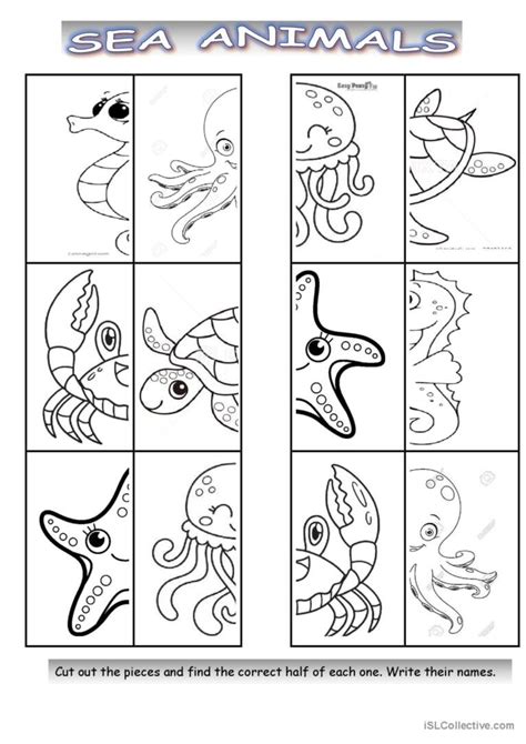 Sea Animals halves worksheet piction…: English ESL worksheets pdf & doc