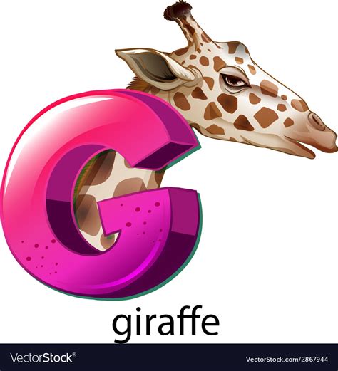 A letter G for giraffe Royalty Free Vector Image