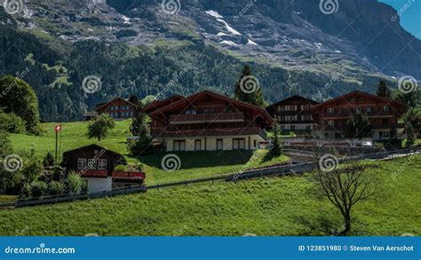 Chalets Near Grindelwald, Switzerland Stock Photo - Image of bernese ...