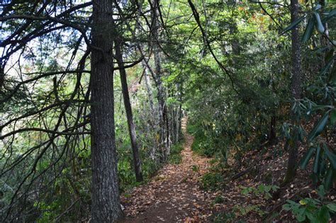 Category: Maggie Valley - HIKING THE APPALACHIANS AND BEYOND