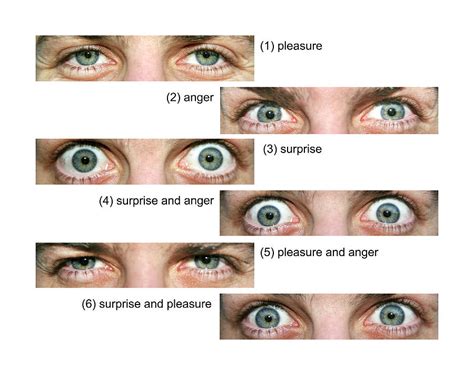 Eye Expressions by Science Photo Library