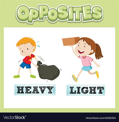 Opposite english words with heavy and light Vector Image