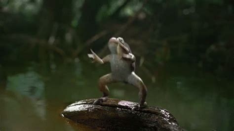 Crazy Frog Dance Gif - gif