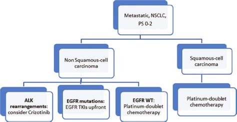 Treatment algorithm in first-line metastatic non-small-cell lung cancer ...