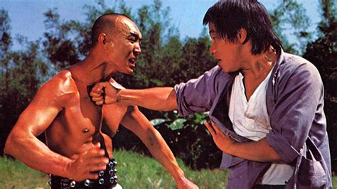 "My Kung Fu Twelve Kicks" a.k.a. Incredible Master Beggars (1979) – Classic Kung Fu Movies