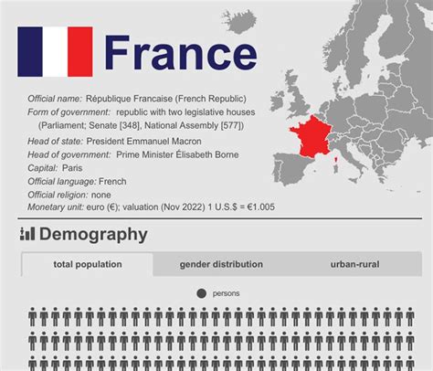 French Government Structure