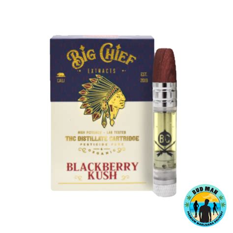 Big Chief Extracts Organic Vape Cartridges (1 gram – 6 options): Bud Man Orange County ...