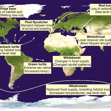 Impacts of climate change on migratory animals; examples indicate the... | Download Scientific ...