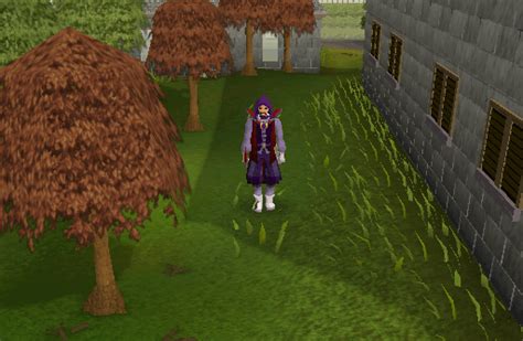 Seers' Village and Camelot - RuneScape Guide - RuneHQ