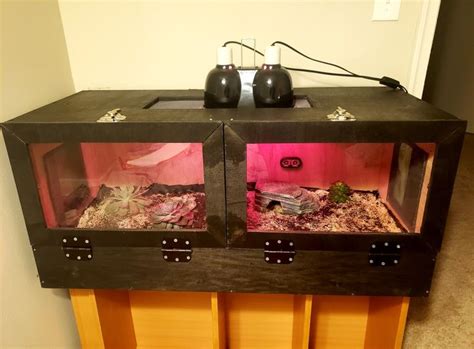 Snake Enclosure DIY in 2023 | Snake enclosure, Reptile room, Pet snake