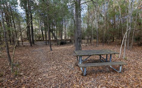 Fontainebleau State Park Cabins Pictures - Road Runner: Fontainebleau State Park : Have you ever ...