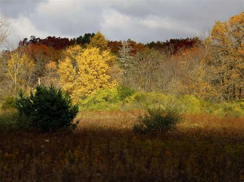 McHenry County Conservation Foundation protects 40 acres in Hartland Township