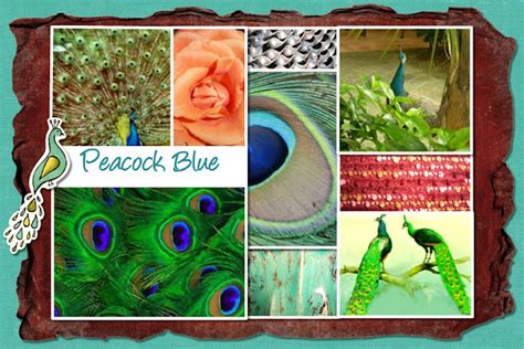 Peacock Blue