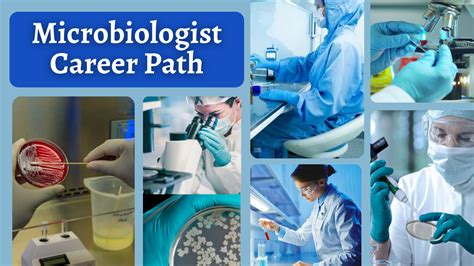 Microbiologist Career Path - 2022 HelpToStudy.com 2023