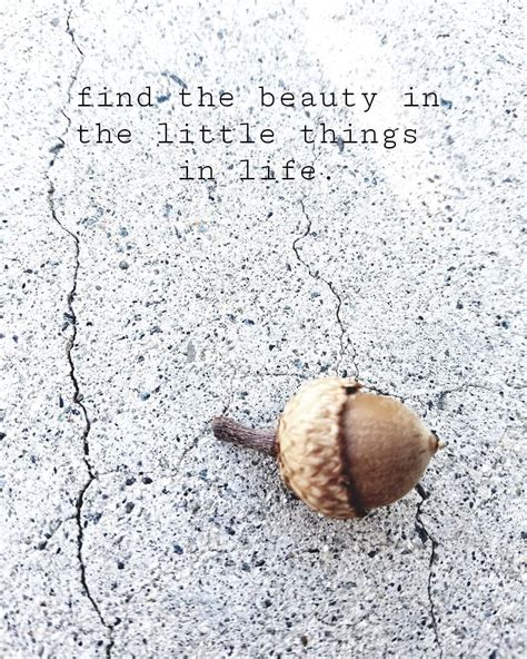 Find Beauty In The Little Things Quote - ShortQuotes.cc