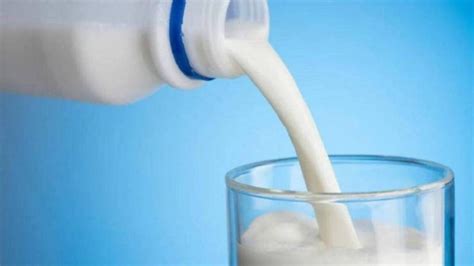 World Milk Day 2023: नियमितपणे दुधाचे सेवन केल्याने मिळू शकतात 'हे ...