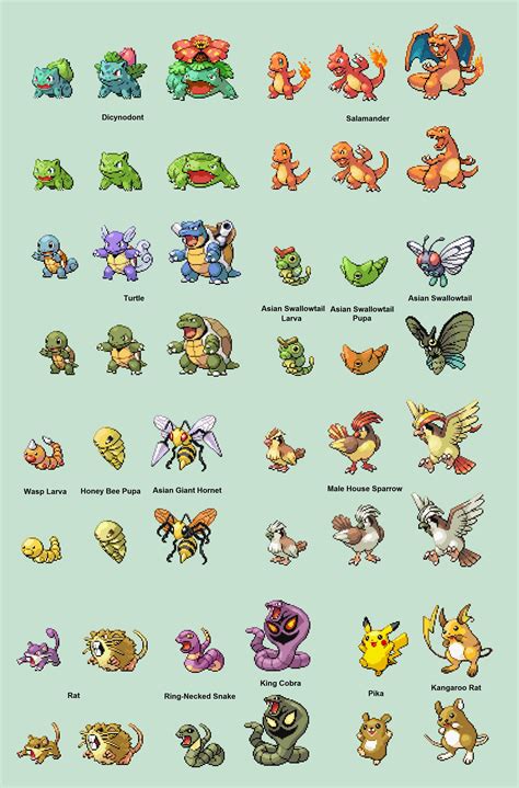 *COMPLETED* Gen 1 Pokemon Realistic Redesign : pokemon