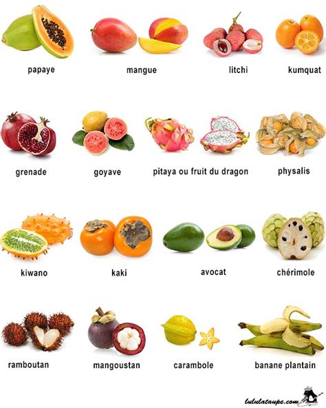 Imagier à imprimer, les fruits exotiques | Images fruits et légumes, Fruits exotiques, Coloriage ...