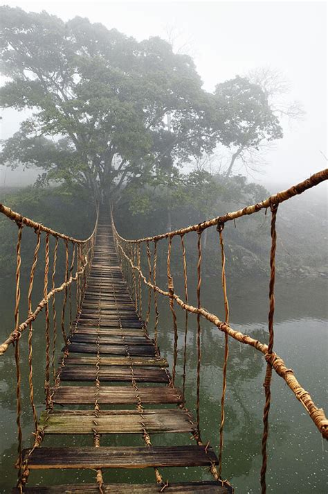 THE TRAVEL GURU — Jungle rope bridge near Sapa, Vietnam by Skip...