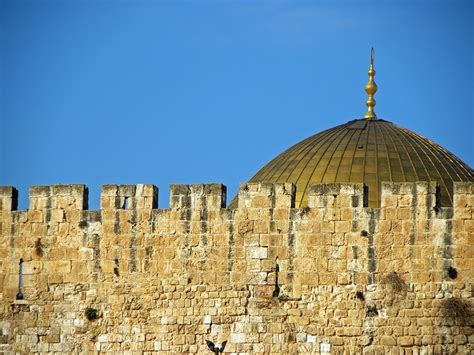 Free Palestine Images | Free Photos, PNG Stickers, Wallpapers & Backgrounds - rawpixel
