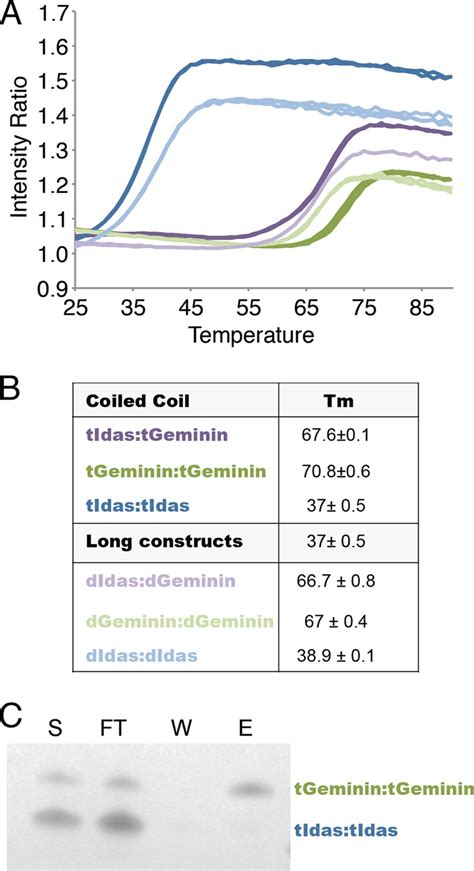 The Geminin and Idas coiled coils preferentially form a heterodimer that inhibits Geminin ...