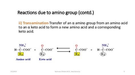 Reactions of amino acids