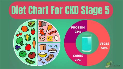 Diet Chart for CKD Stage 5 Patients | Diet2Nourish