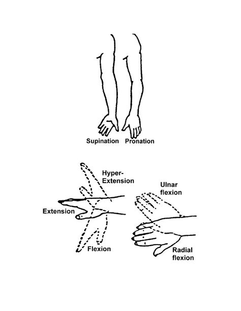 Range of motion exercises - jokerwedding