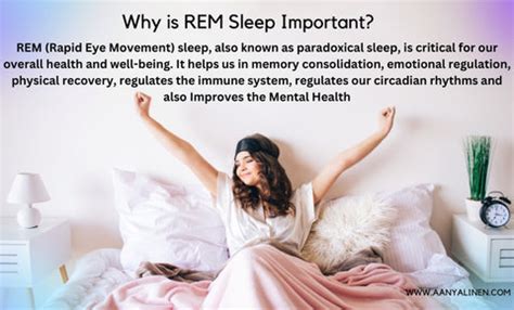 Why is REM Sleep Important? | 6 Reasons - AanyaLinen