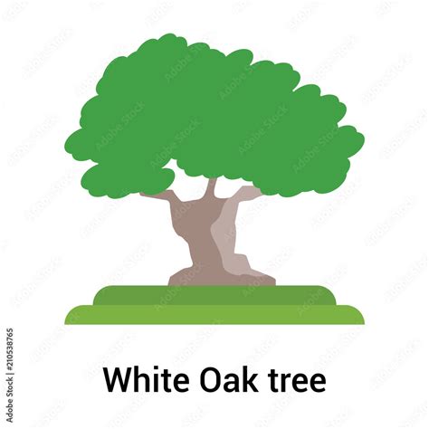 White Oak tree icon vector sign and symbol isolated on white background, White Oak tree logo ...