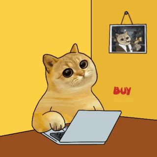 Catcoin Cat Meme GIF - Catcoin Cat meme Cat memes - Discover & Share GIFs