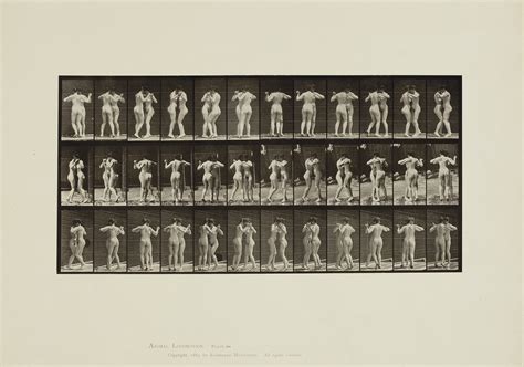 EADWEARD MUYBRIDGE (1830-1904) , Animal Locomotion, 1887 | Christie's