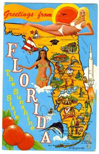 12 Florida Postcards ideas | florida, postcard, vintage florida