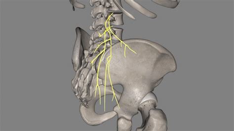 Greys Anatomy Images - Free Download on Freepik