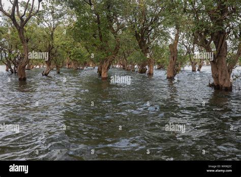 Sunamganj, Bangladesh - September 11, 2019: Tanguar haor located in the ...