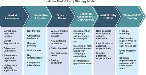 Market Entry Strategy Template