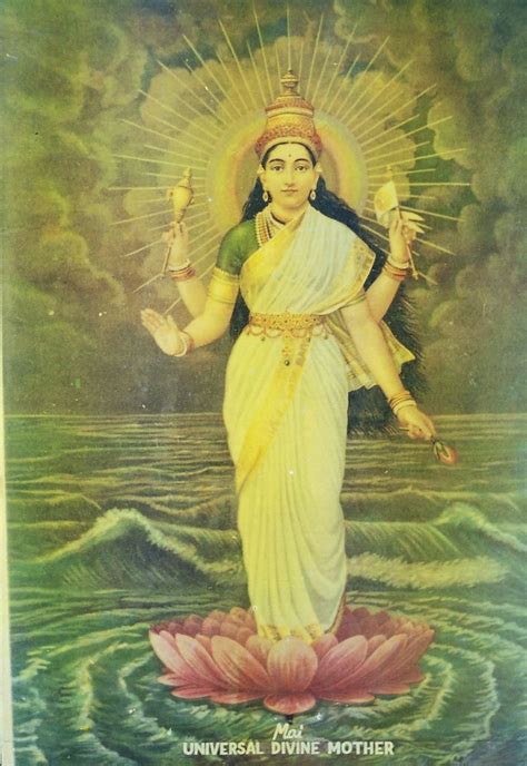 Mother Shakti Goddess Transmission Observations