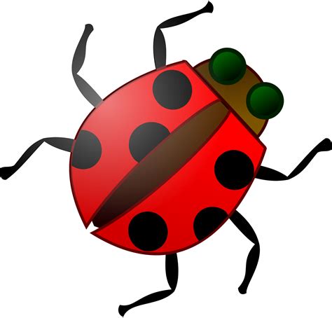 Clipart Insect