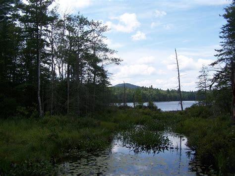 Camping at Polliwog Pond, Aug 13 – Andy Arthur.org