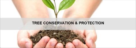 Tree Conservation & Protection Guides, Checklists*** | DeKalb County GA