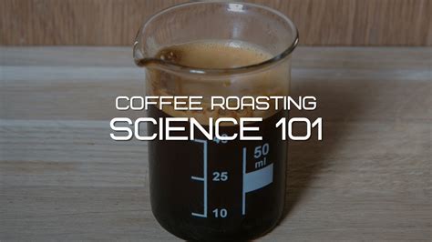 Coffee Science 101: A Beginner's Guide to the Roasting Process