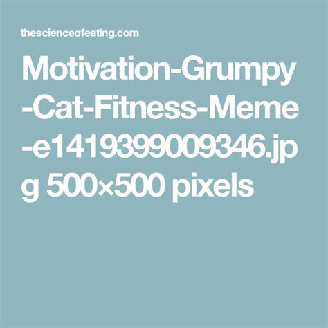 Cat exercise, Workout memes, Grumpy cat