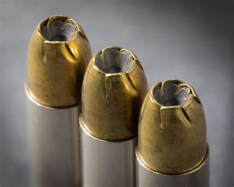 Your Guide For Need to Know Bullet Information - Homesteader ...